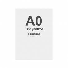 Wydruk Lumina do ramy