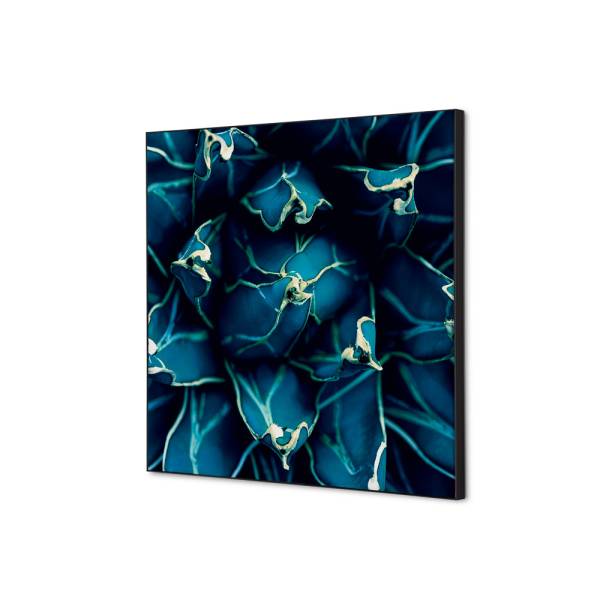 Tekstylna Dekoracja Ścienna 40 x 40 Kaktus Niebieski