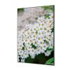 Tekstylna Dekoracja Ścienna Spirea z białego kwiatu - 2
