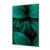 Tekstylna Dekoracja Ścienna 40 x 40 liście botaniczne Niebieski - 5